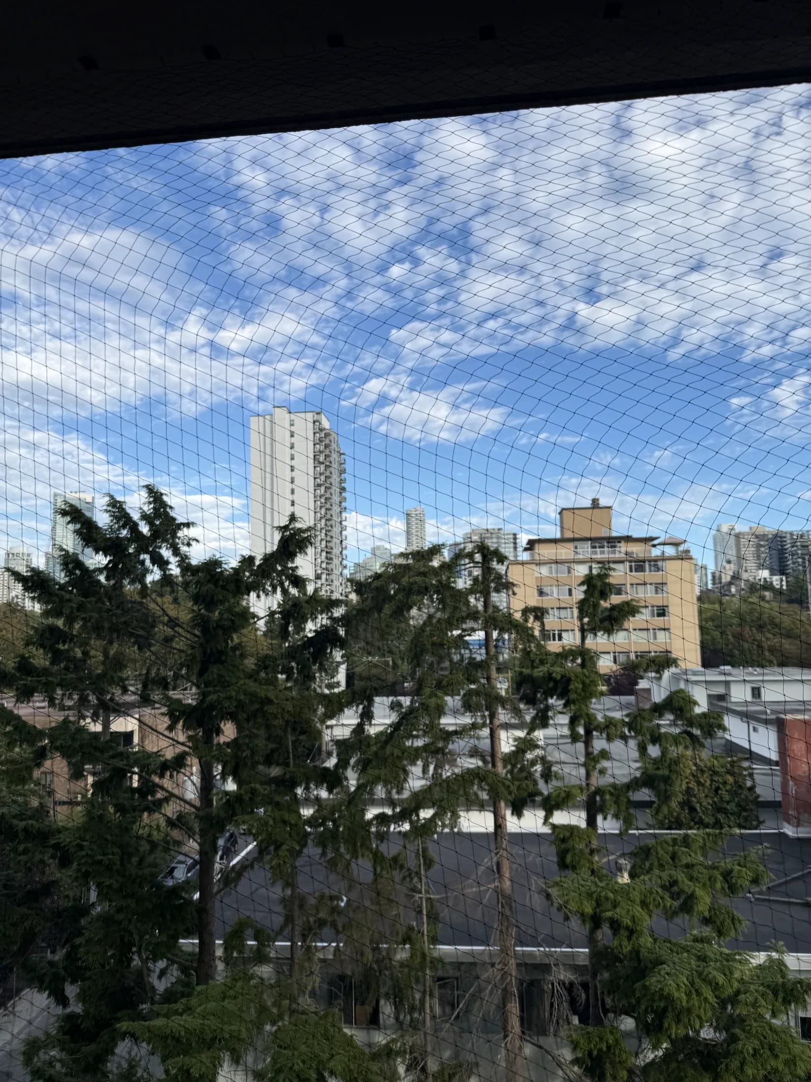 Completed balcony bird netting with Vancouver buildings beyond